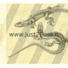 1 Talonas 1991 Lithuania UNC banknot