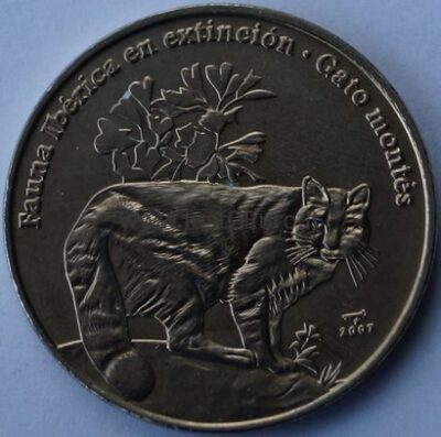 1 peso 2007 Cuba coin – Wildcat
